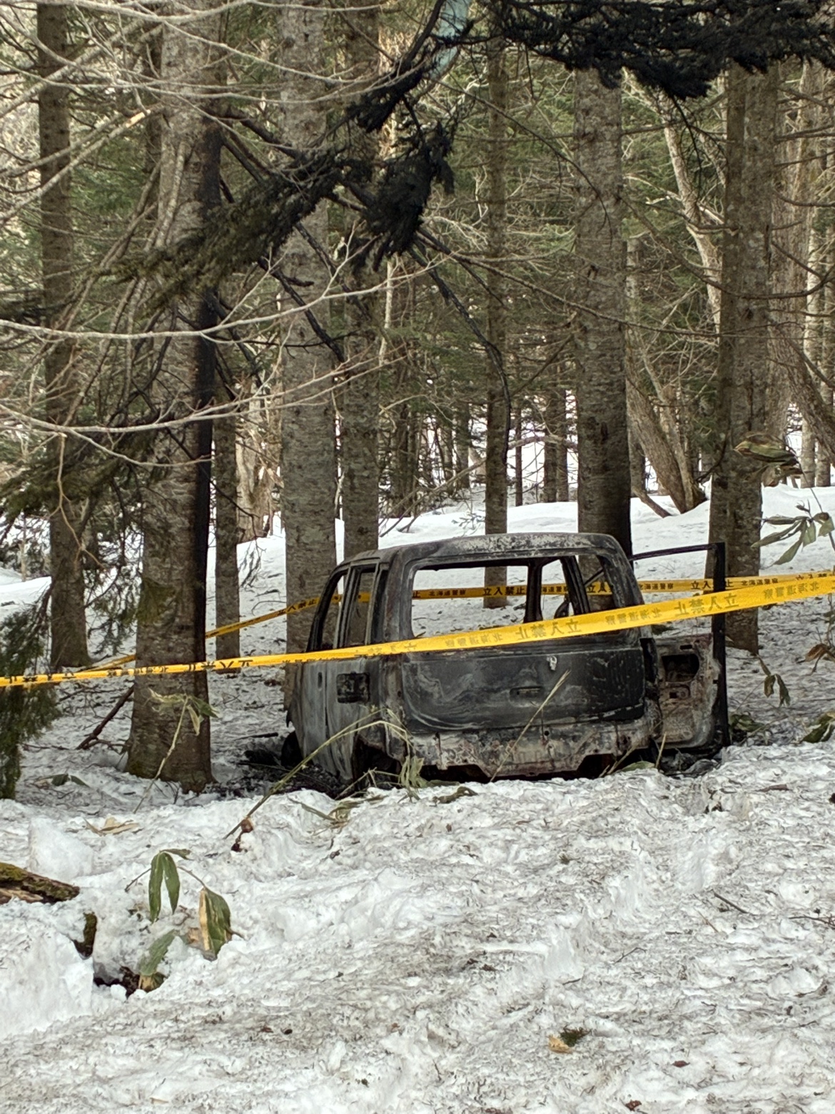 焦げた車が見つかった現場