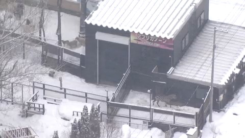 ノースサファリサッポロ（2025年12月）