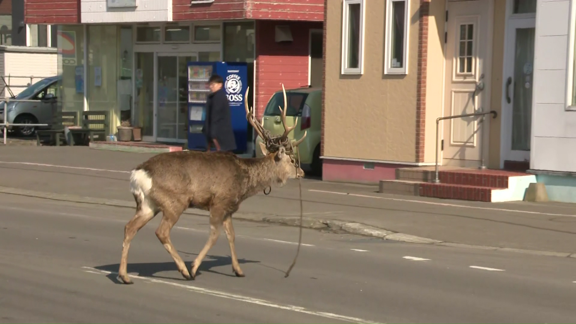 暴れるので近づかないよう呼びかけ