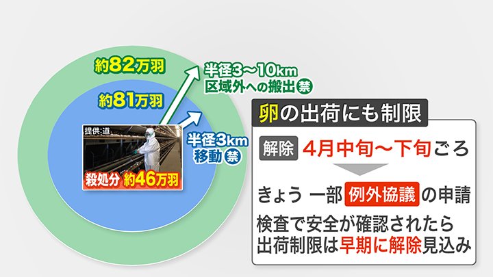 殺処分により卵の出荷にも制限