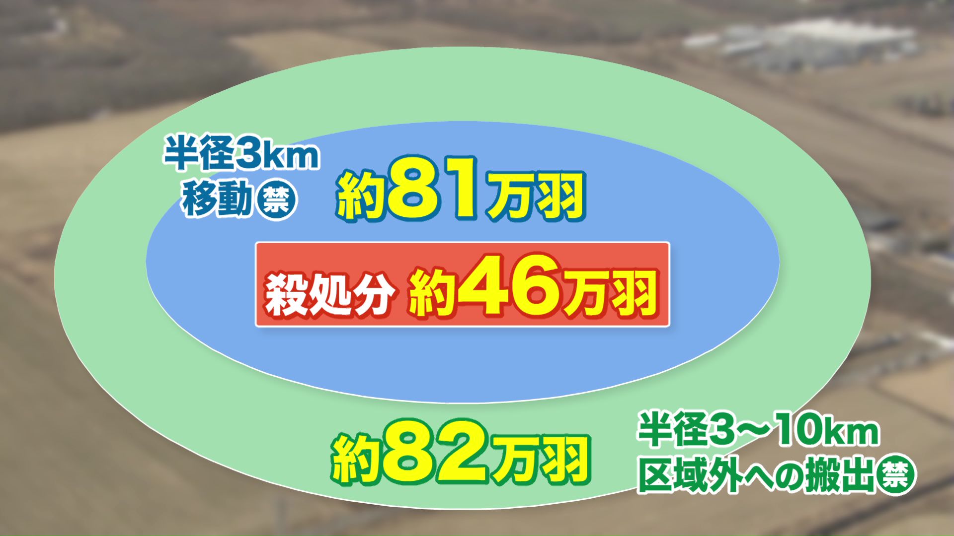 周囲の養鶏場にも制限が設けられ流通や価格に影響するか