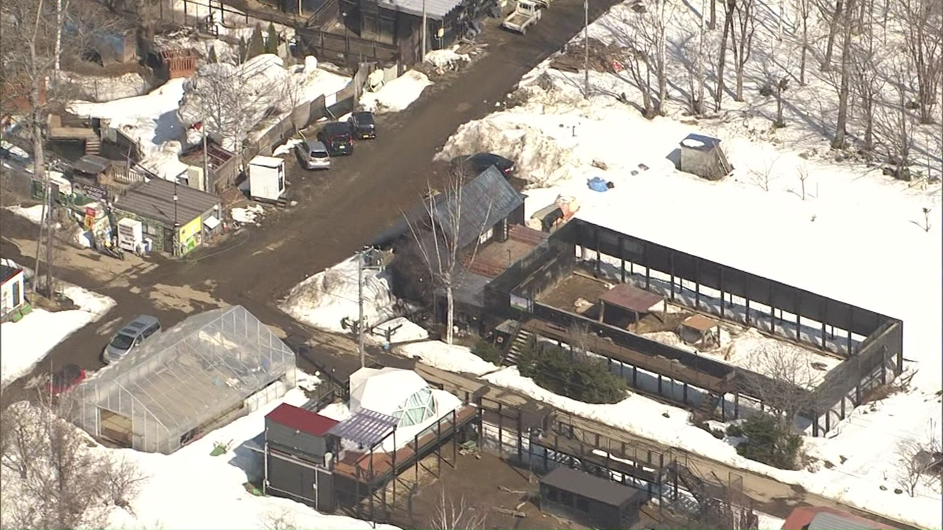 3月26日現在も違法建築物が37棟、動物も222匹が残されている