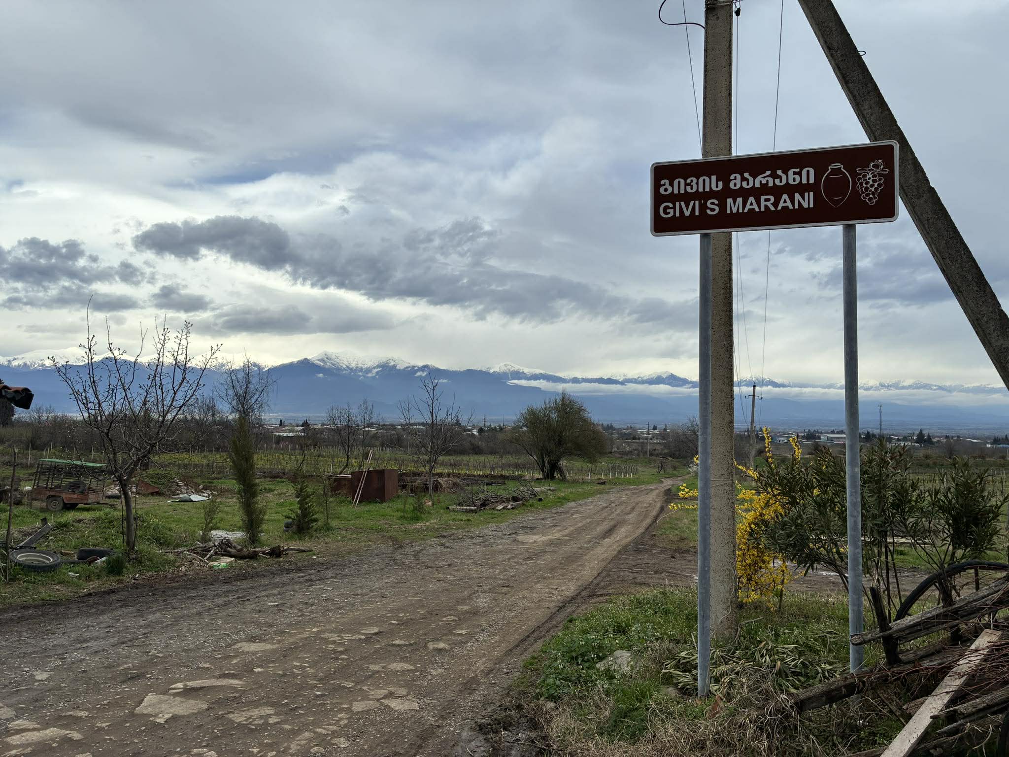 現地のワイナリーを視察　余市産のブドウは品質や味わいに共通点も（提供：余市町）