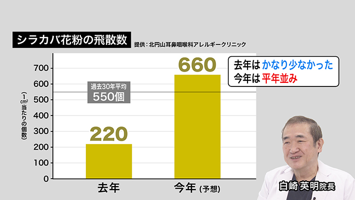 シラカバ花粉の飛散数（提供：北円山耳鼻咽喉科アレルギークリニック）