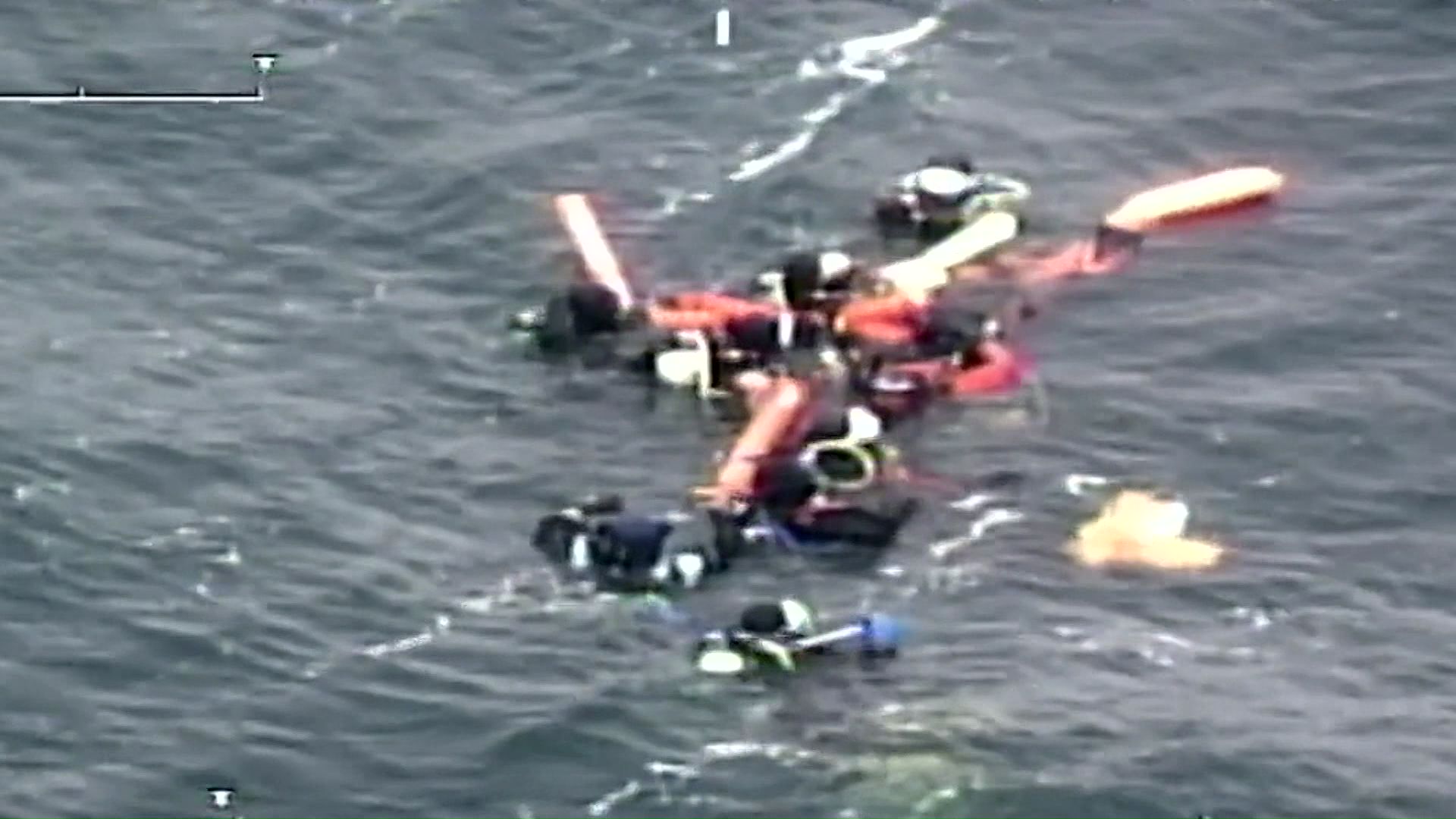 ダイバーは弁天島で「トドウォッチング」をしていた(提供:第一管区海上保安部)