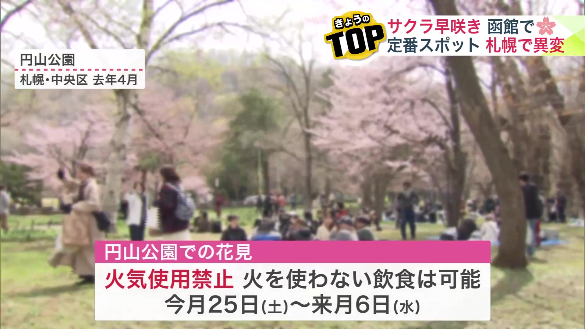 円山公園での花見は2026年も火気使用禁止