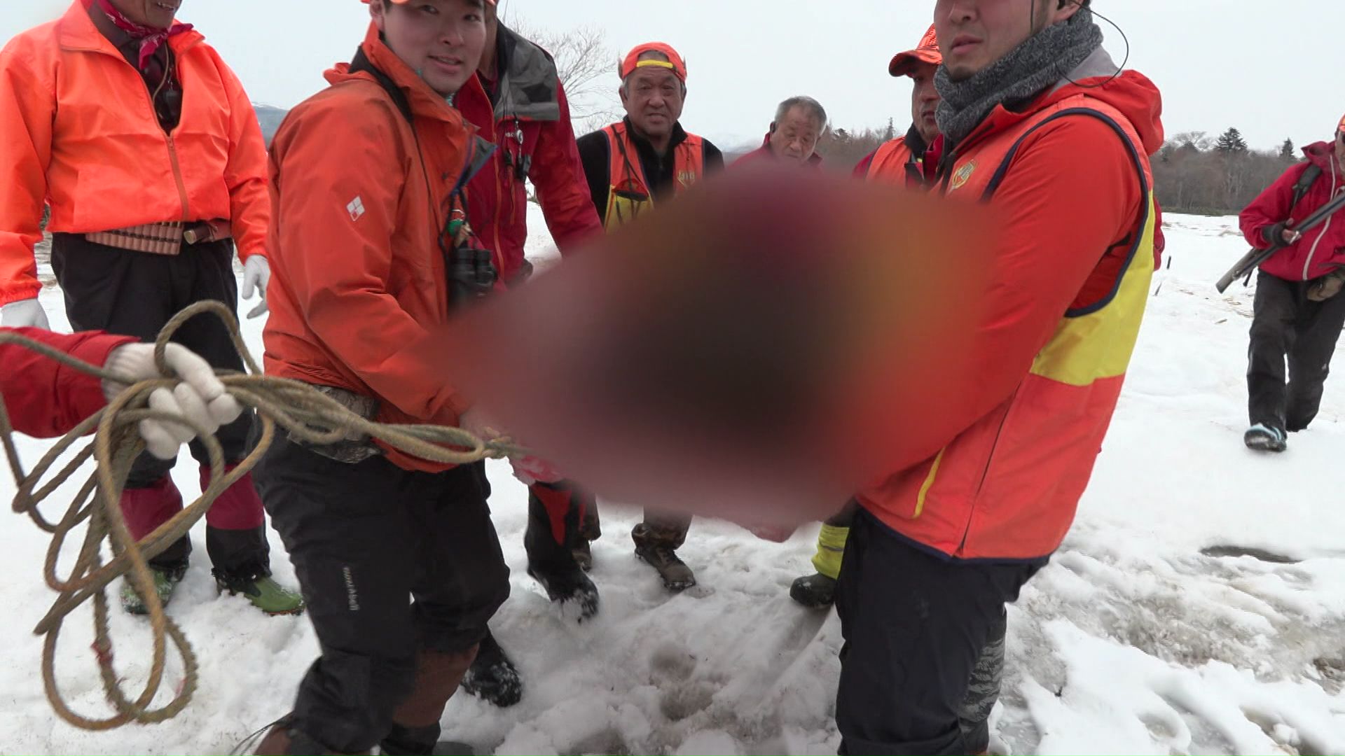 春季管理捕獲を行いメスの成獣1頭を駆除(標津町)