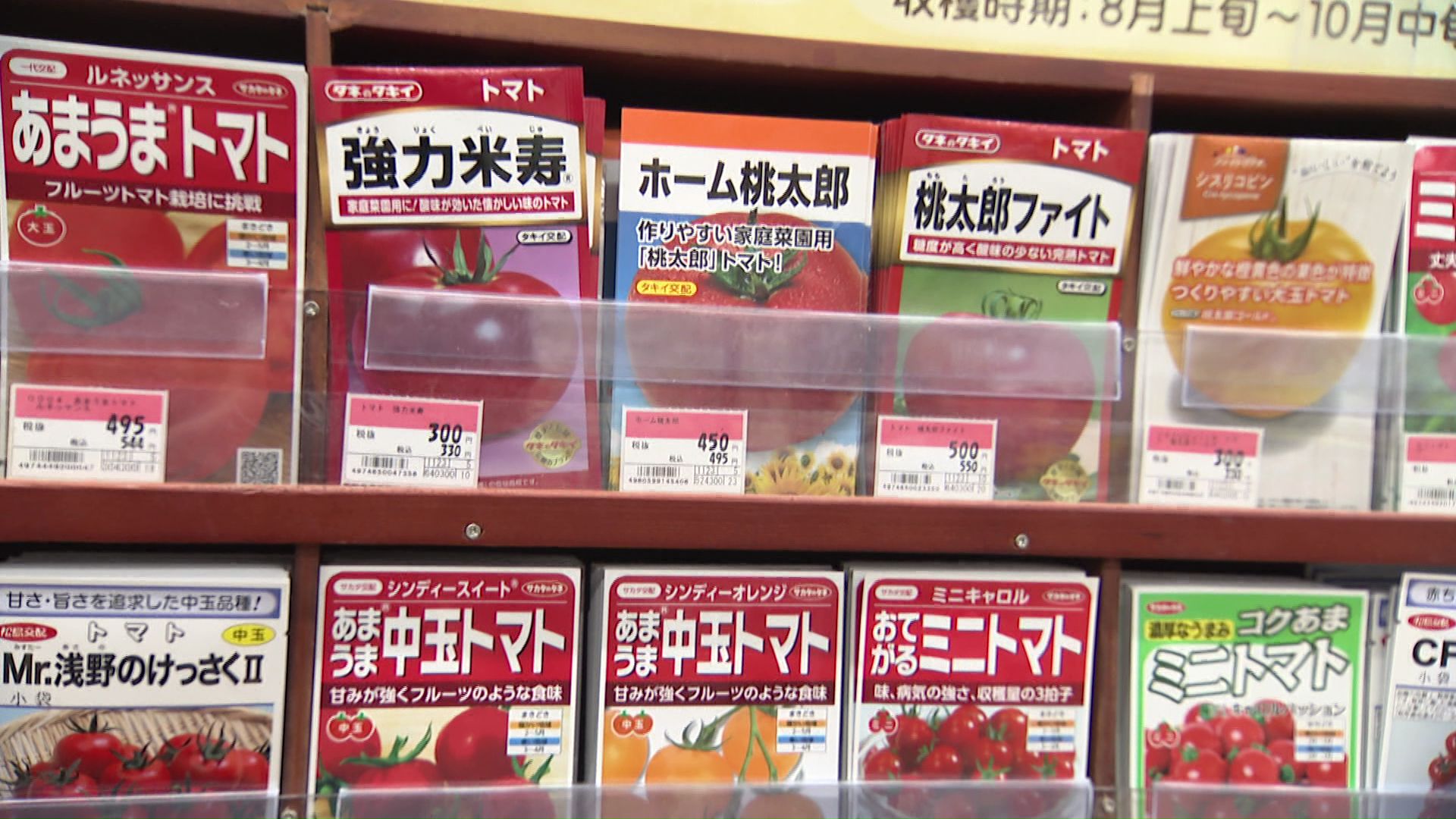 一番人気のトマト