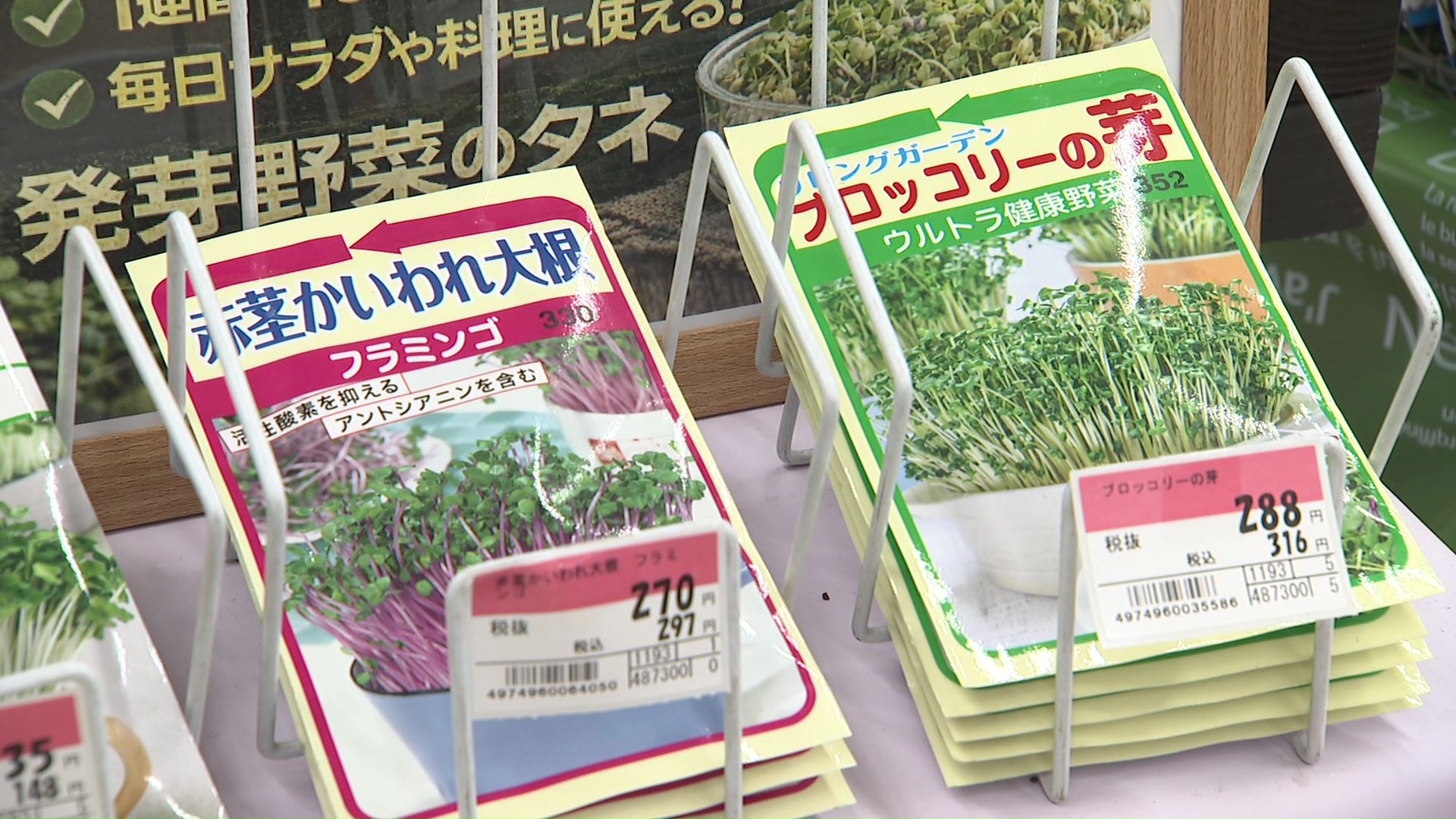 ブームがきているブロッコリーの芽
