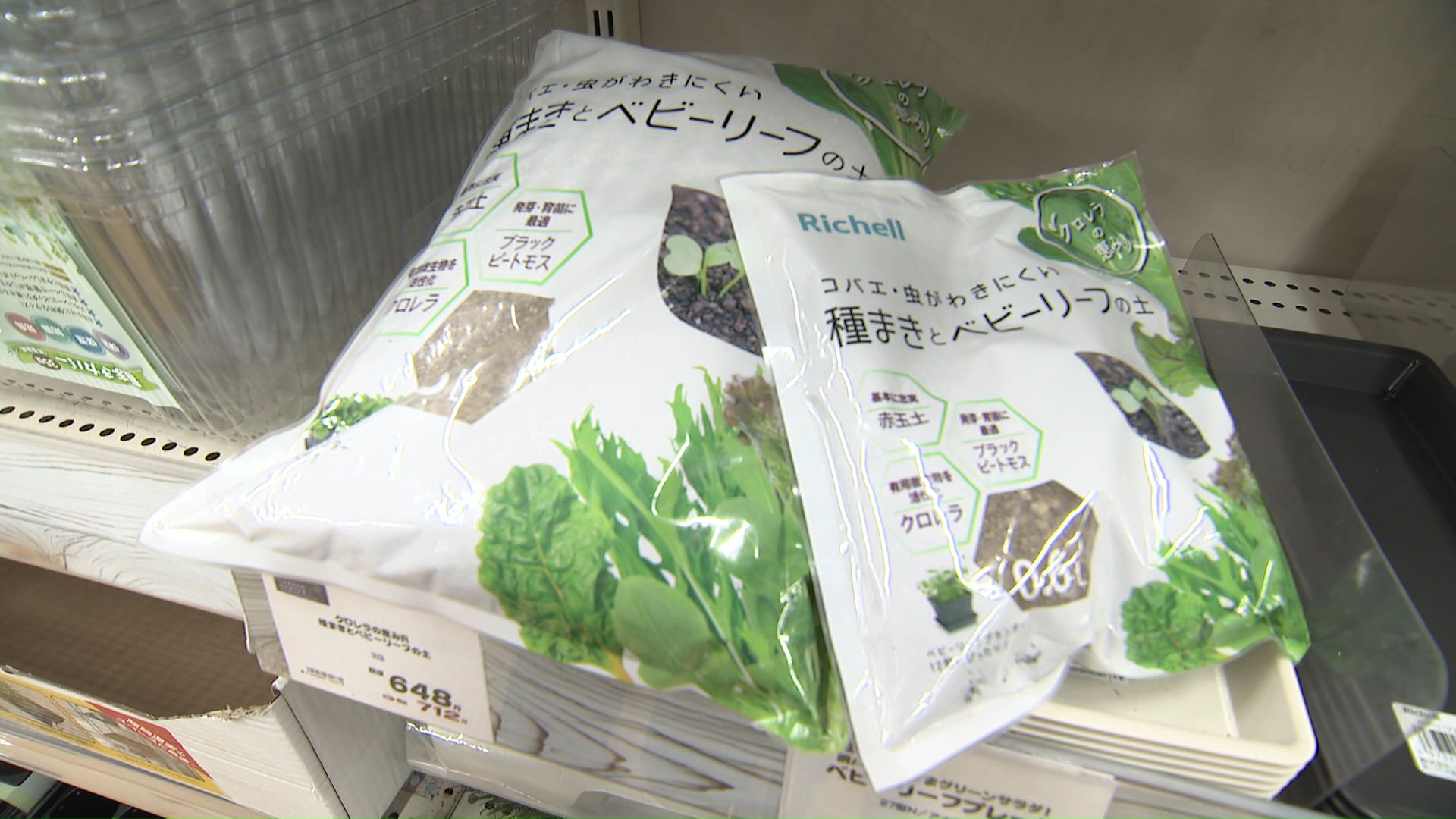 ポット栽培も人気