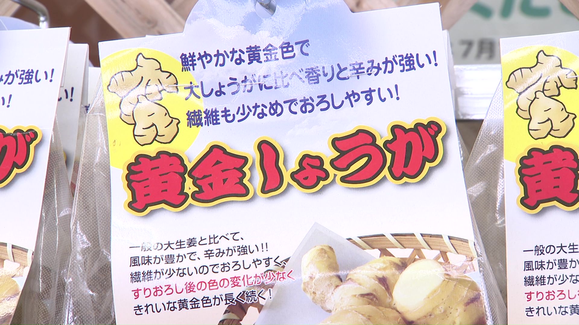 家庭菜園に温暖化の影響が