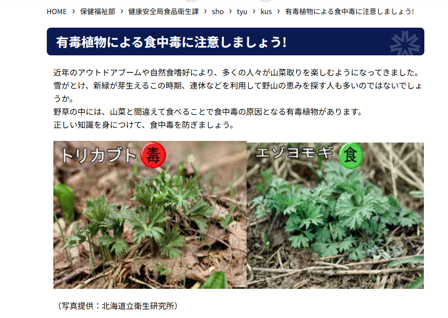 トリカブトとヨモギも似ている(北海道庁のホームページより)