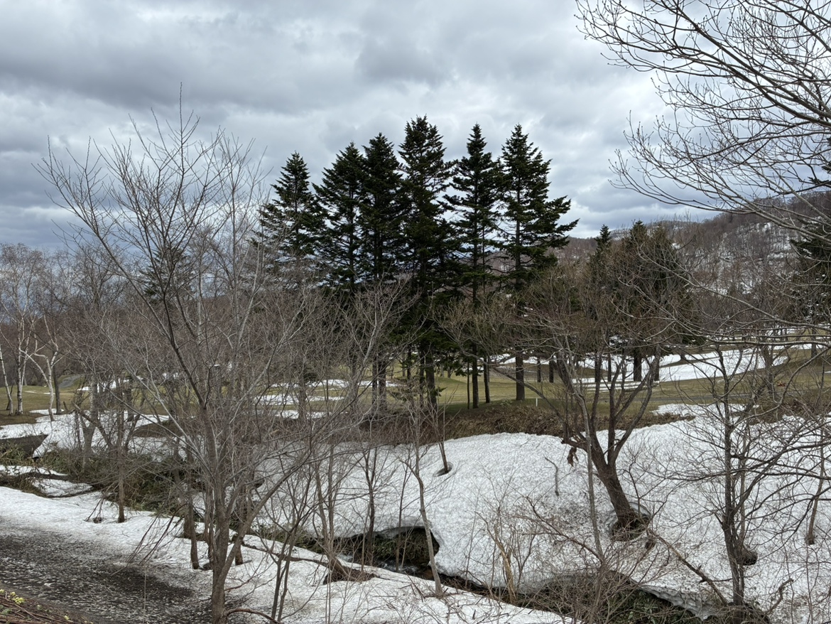 男性の遺体が見つかったゴルフ場周辺の現場（札幌市手稲区）