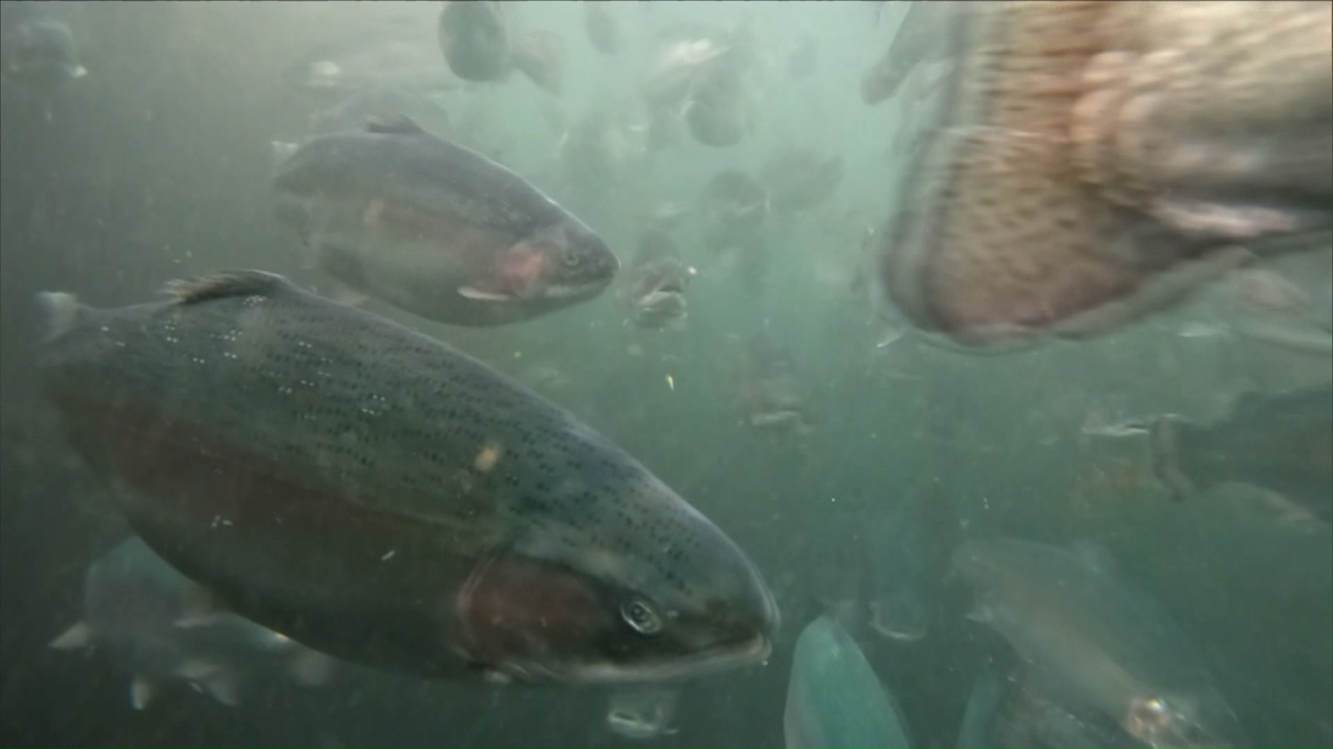 京極町の名水と廃校になった体育館を活用（画像は資料）