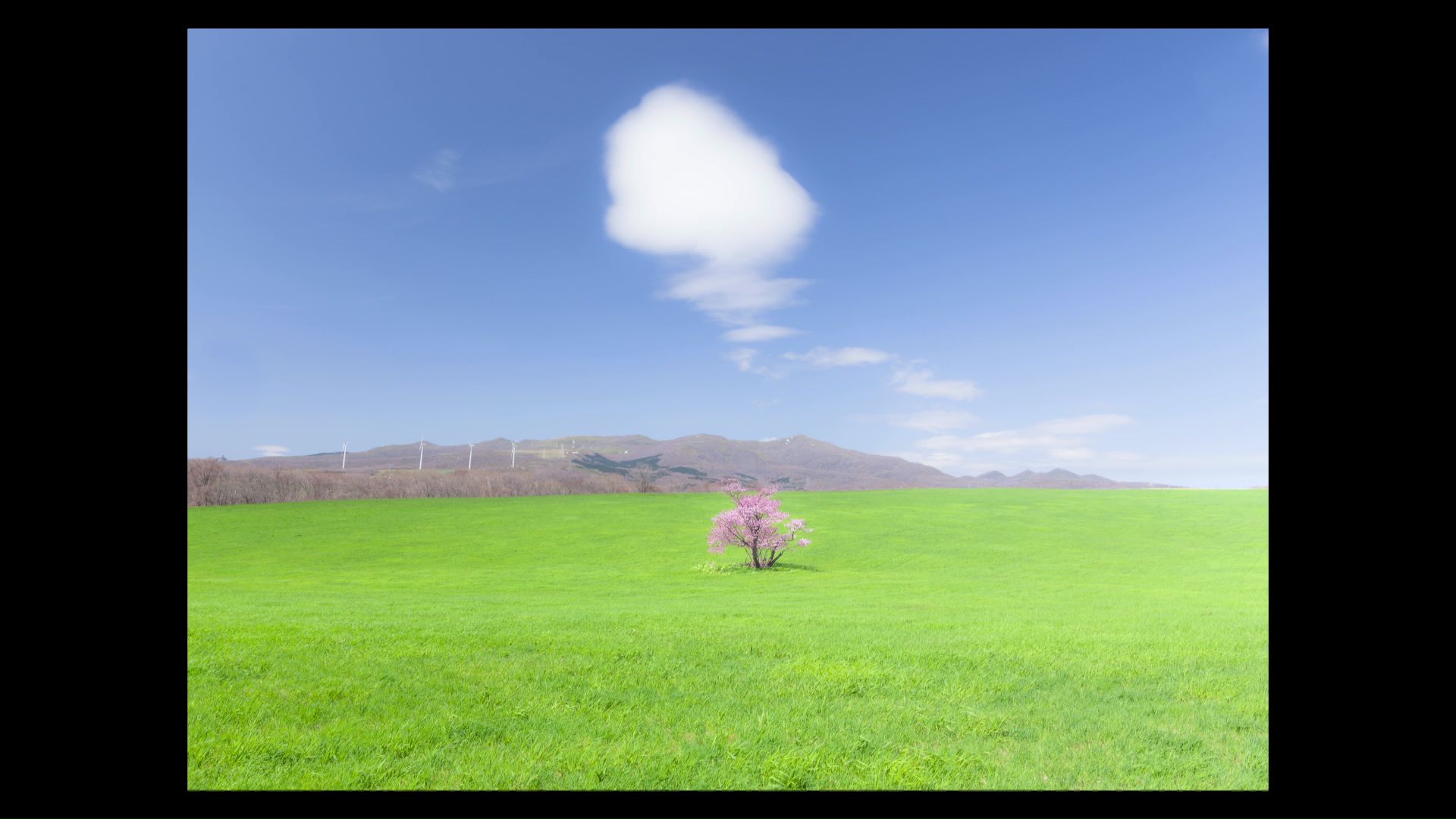 鎌田光彦さんが撮影した写真