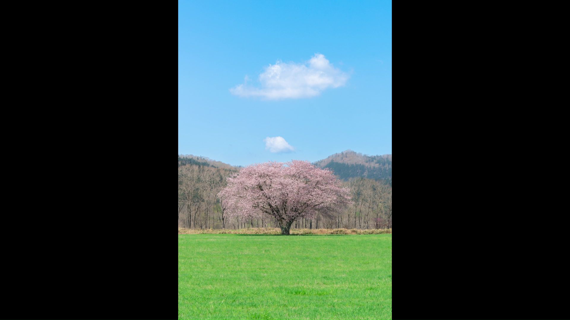 西川文彬さんが撮影した写真