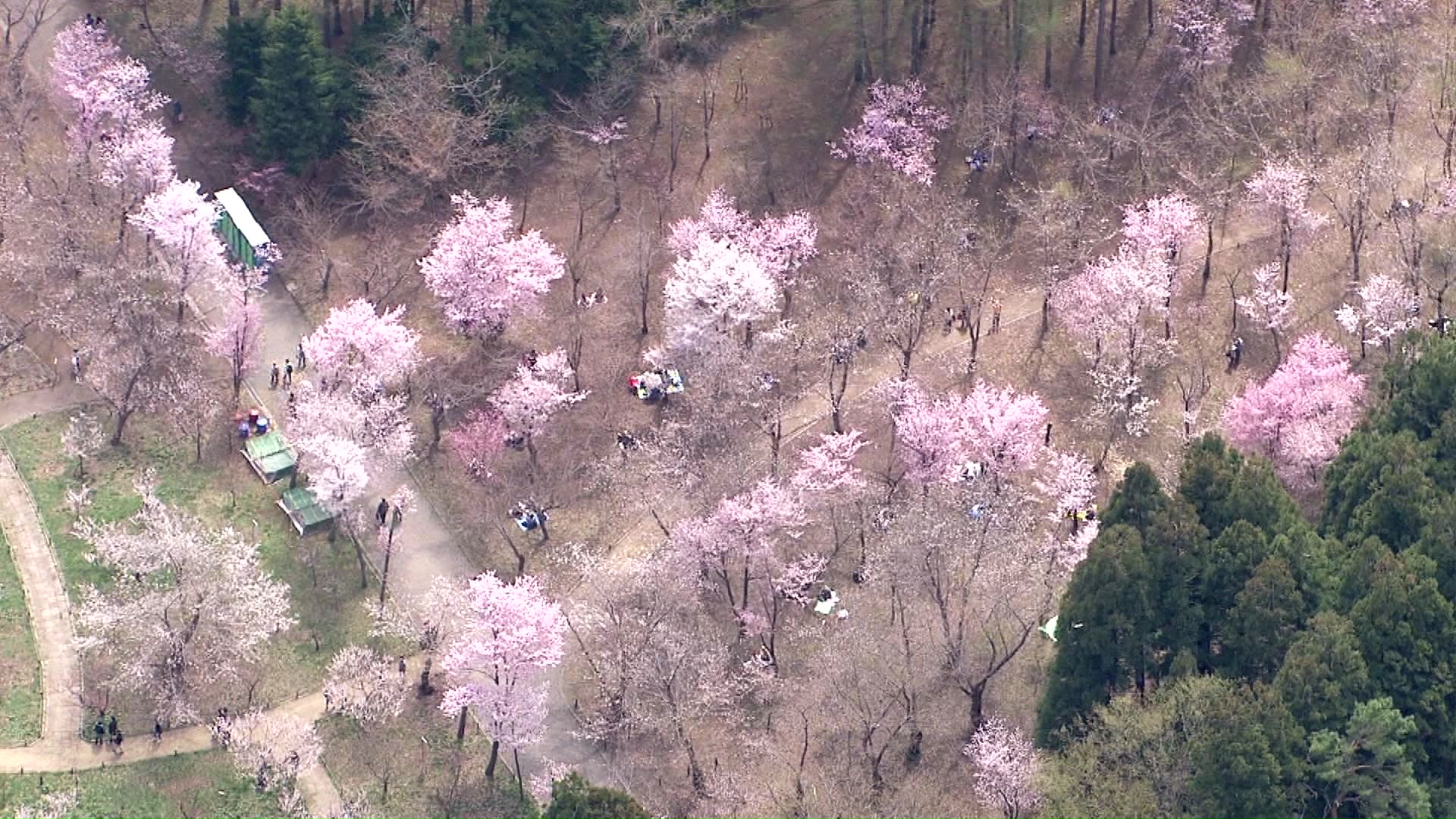 札幌市・円山公園
