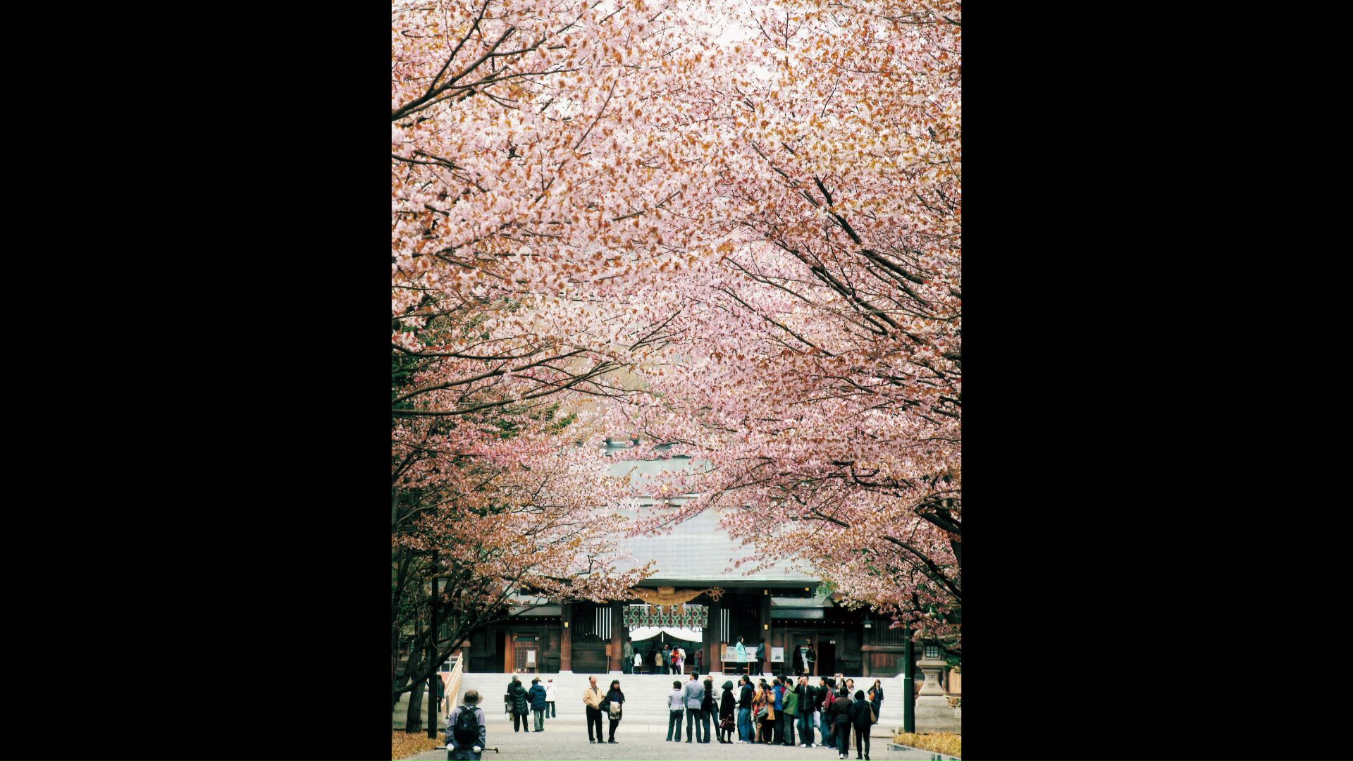 札幌市・北海道神宮