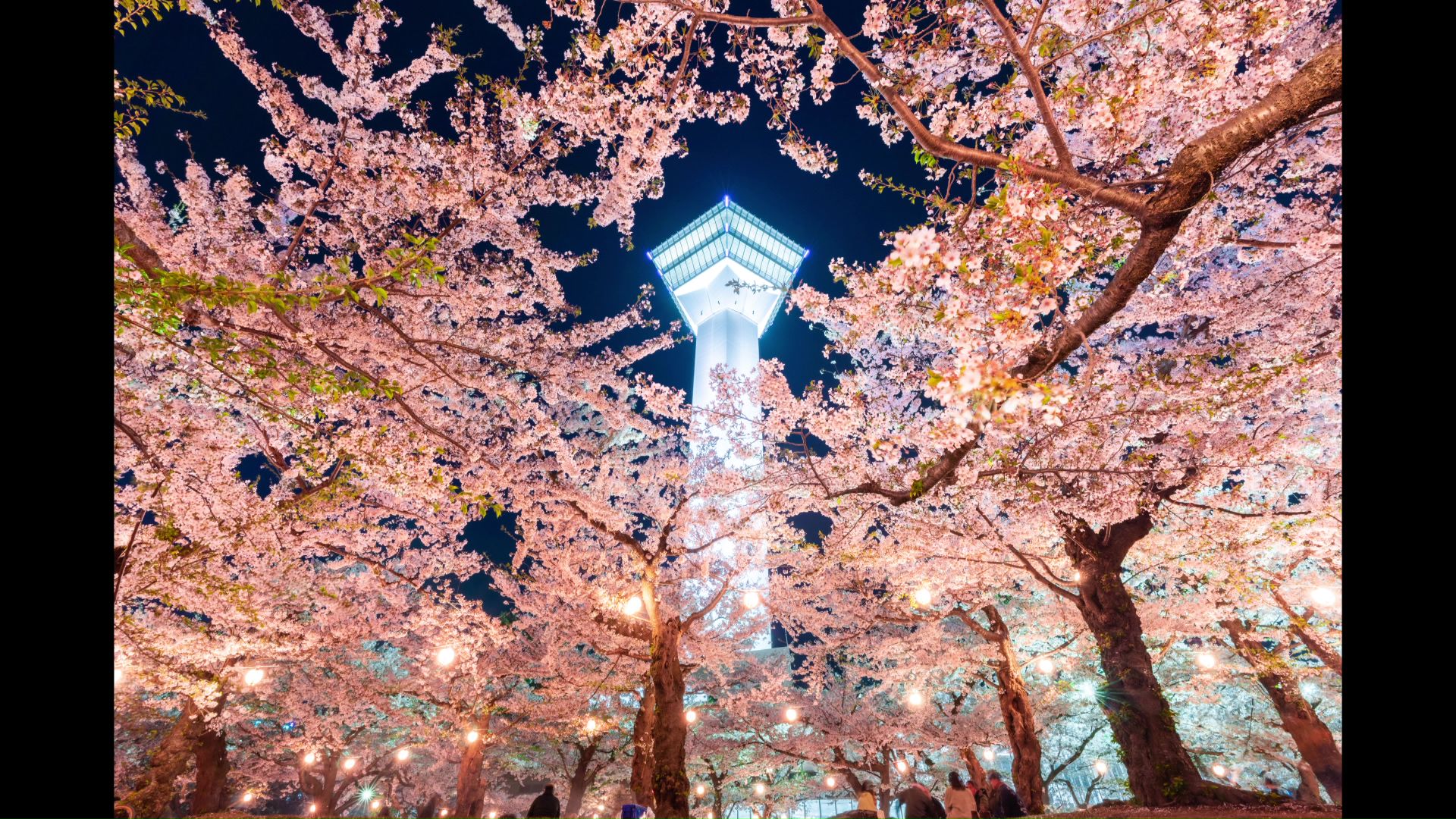 西川文彬さんが撮影した写真