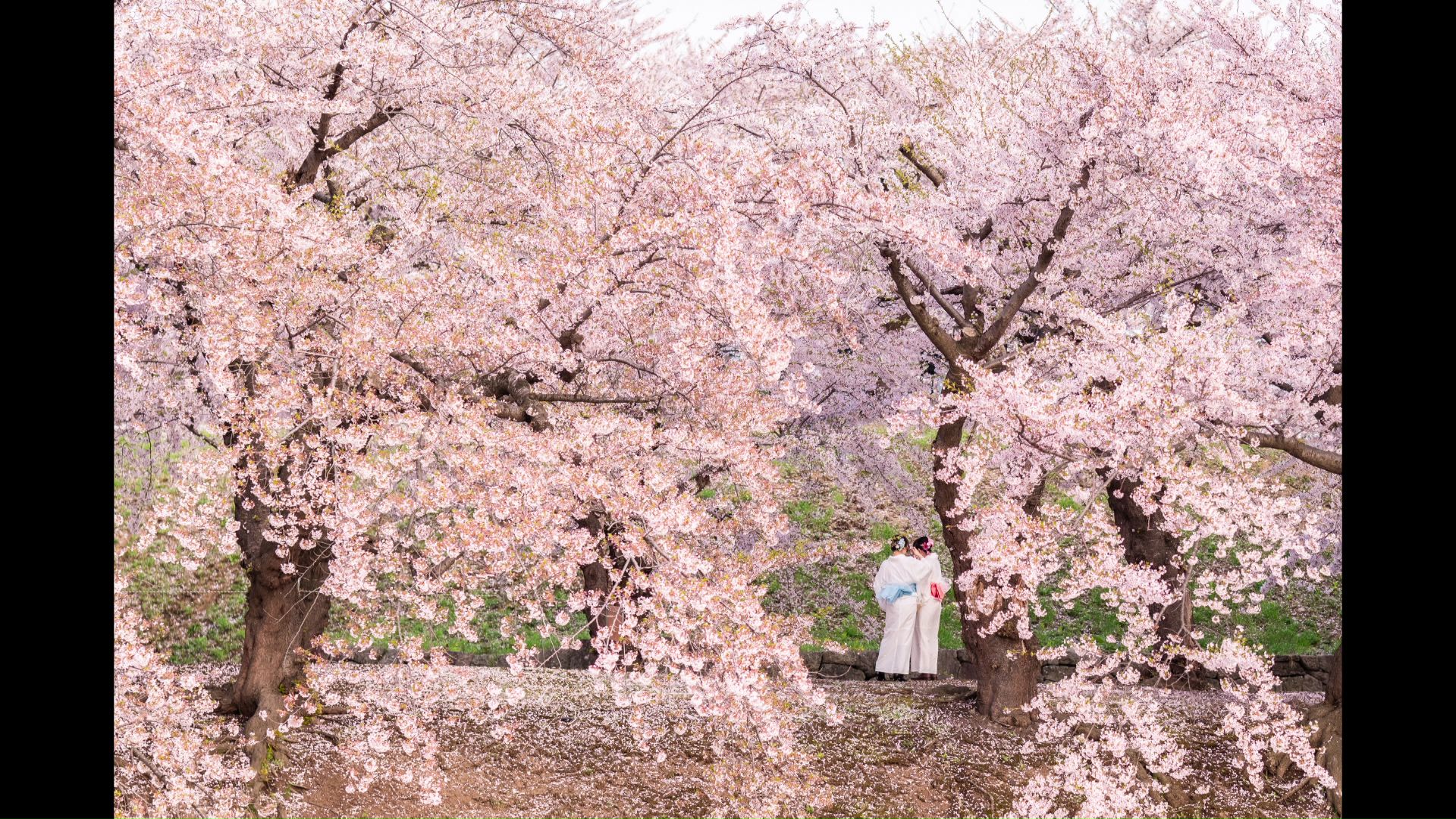 西川文彬さんが撮影した写真