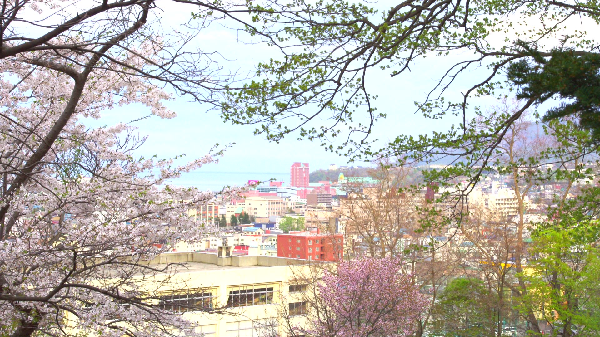 小樽市・小樽公園