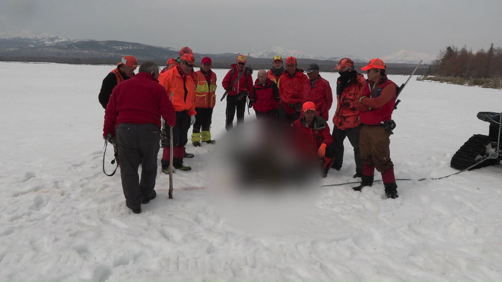 「春期管理捕獲」により駆除されたクマ(4月4日・標津町)