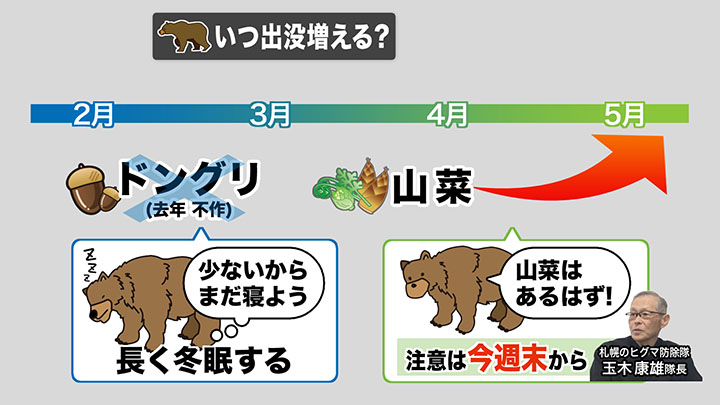 2025年はドングリが不作だったので、冬眠を長引かせている可能性が…