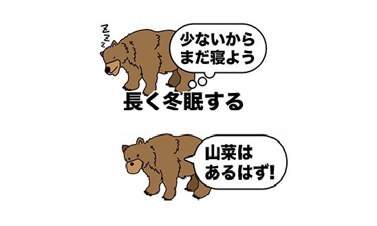 【ヒグマ】クマはどこへ？春期管理捕獲で駆除されたクマはわずか1頭のみ…実は冬眠明けを自ら遅くしている可能性が…山菜シーズン到来で一気に目覚める恐れ『今週末ぐらいを目指して起きてくる、活性化してくる』