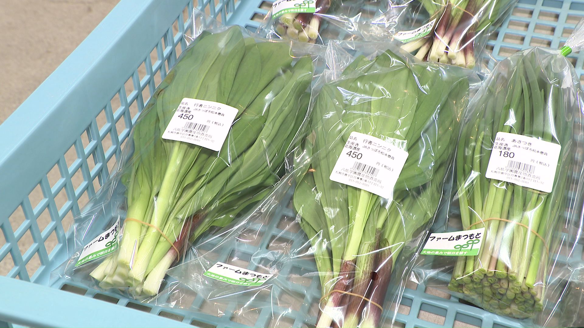 行者ニンニクなどの山菜も