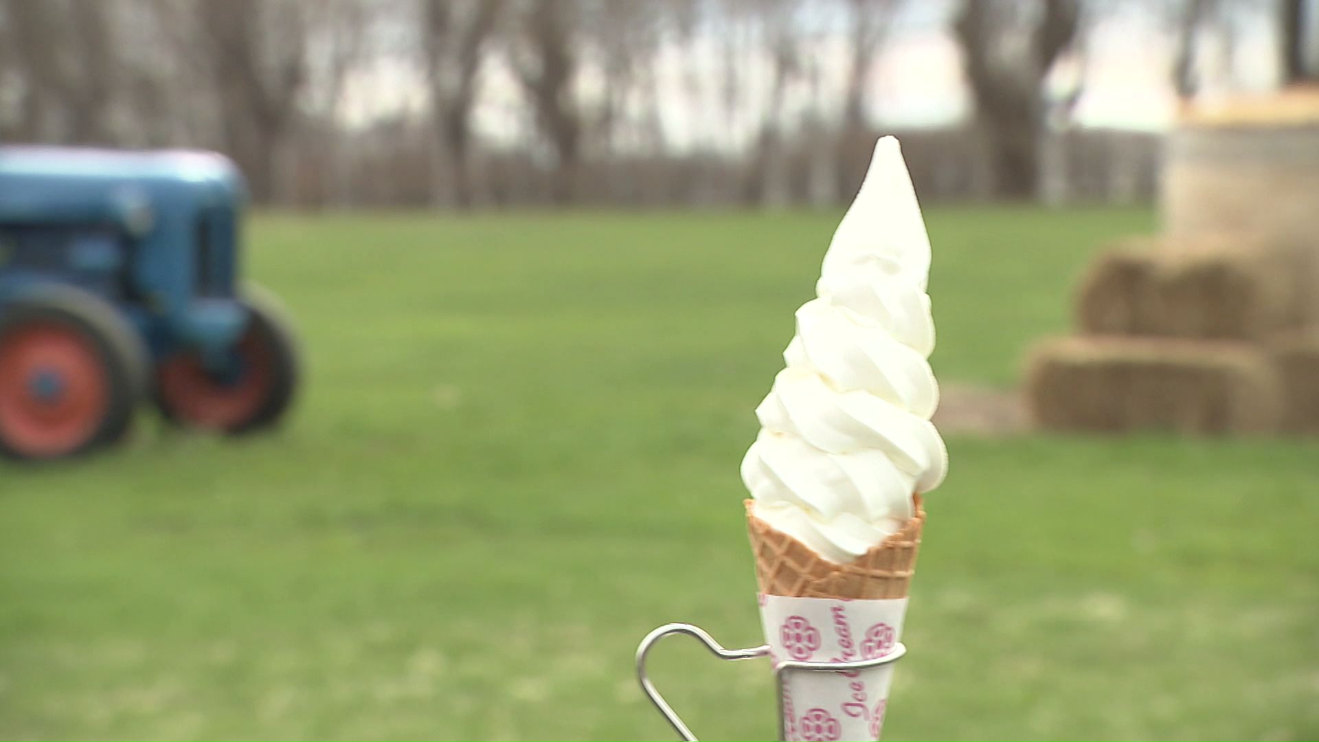 1日2000個も売れる!名物の「ソフトクリーム」