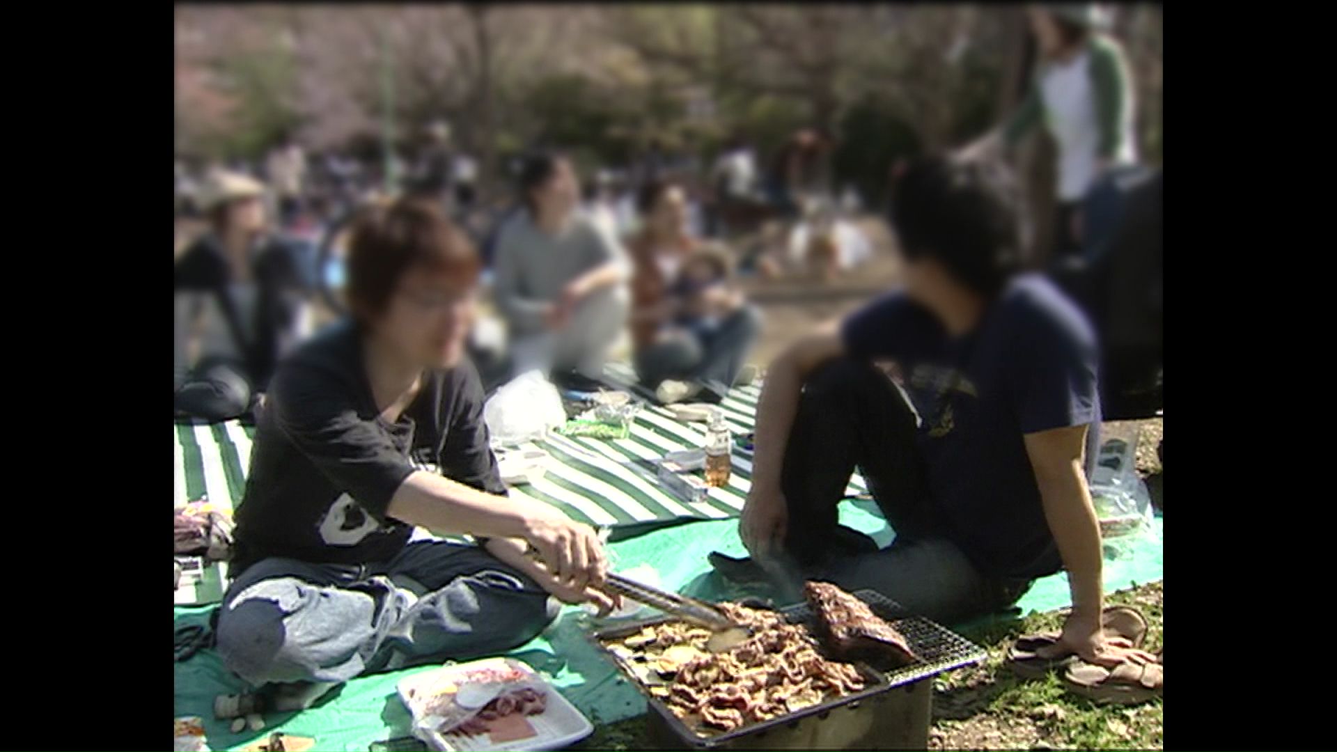 札幌市のサクラの名所・円山公園(2009年の様子)