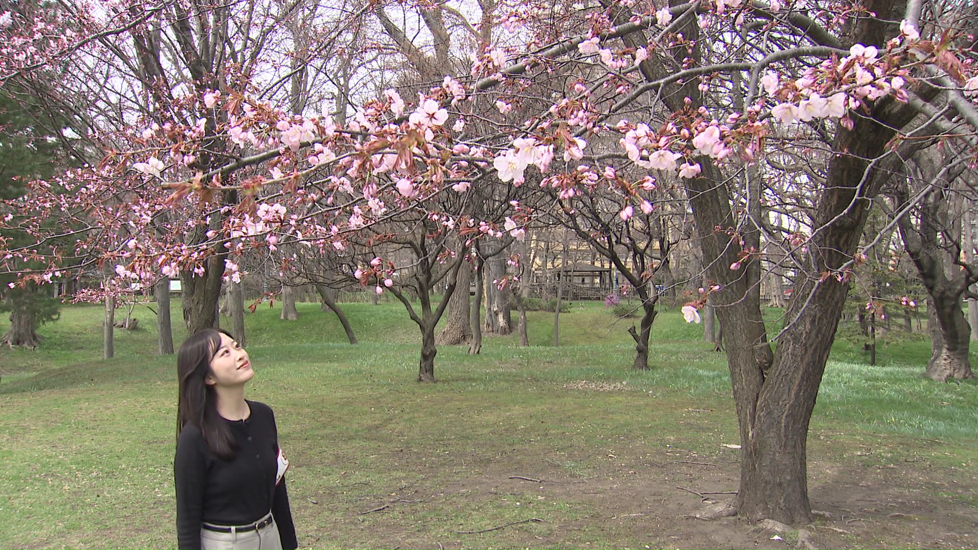 板橋未悠アナウンサー