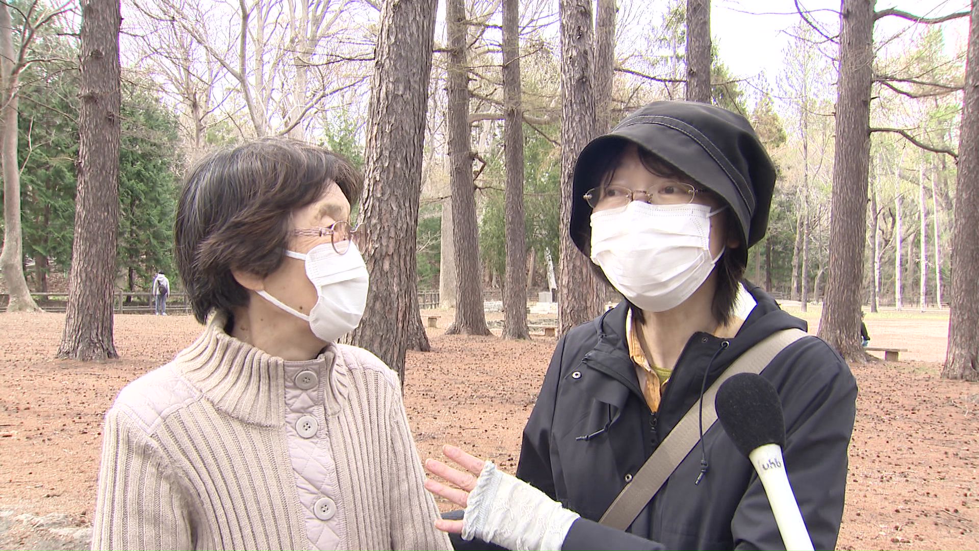 サクラを見に来た親子