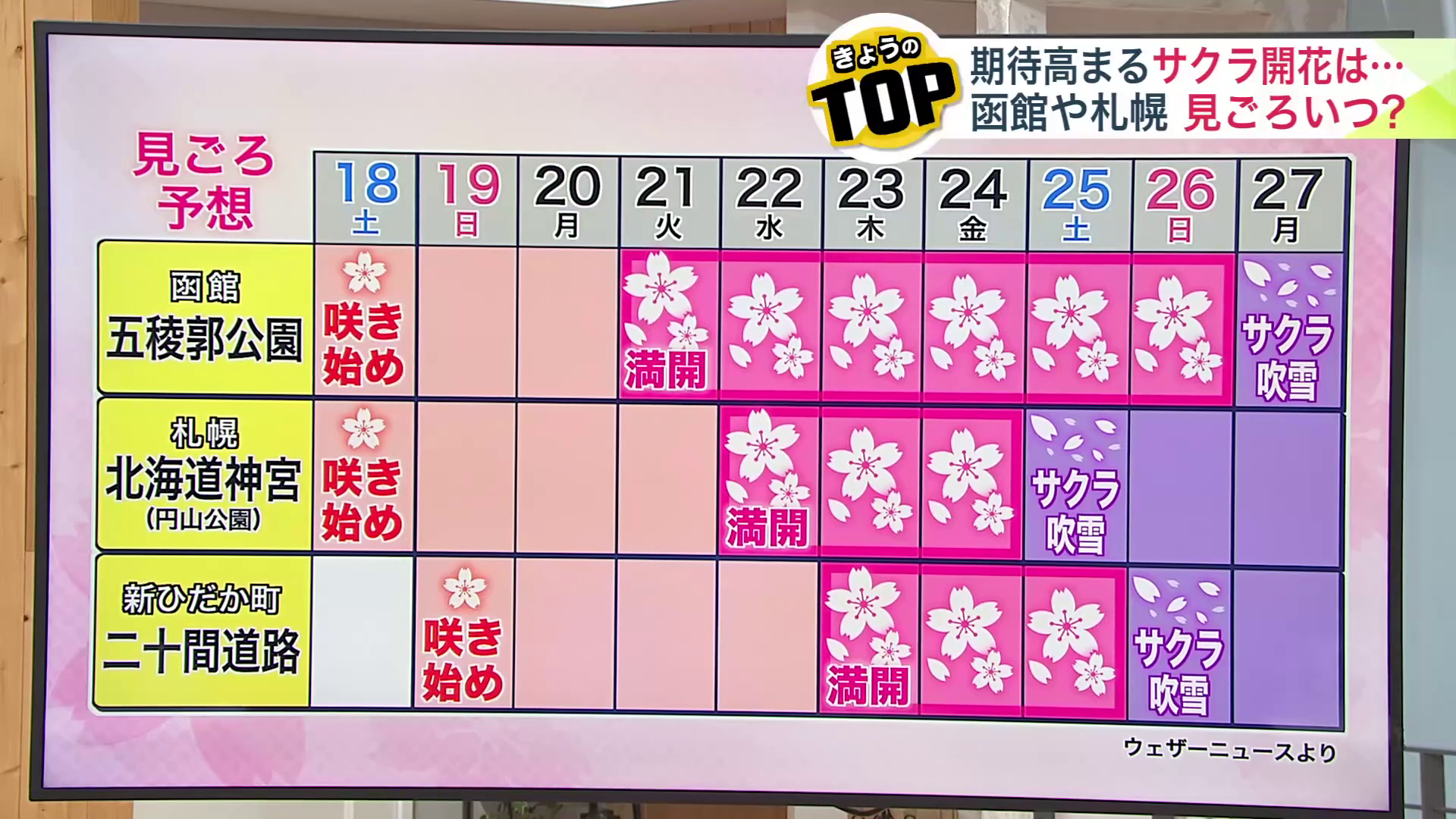 桜の見ごろ予想(ウェザーニュースより)