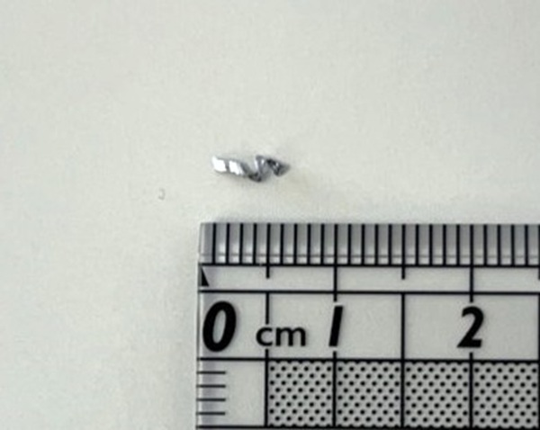 混入していた金属片（提供：北斗市教育委員会）