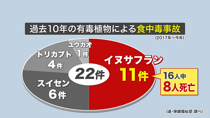 過去10年の有毒植物による食中毒事故の半数が「イヌサフラン」