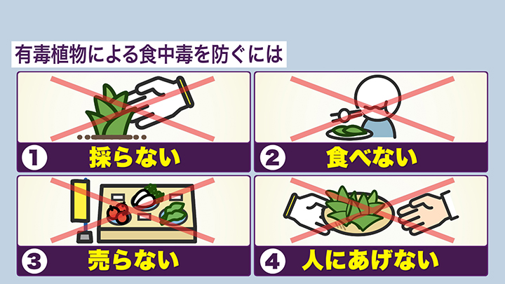 判断に迷ったら…食中毒を防ぐ4つのポイント