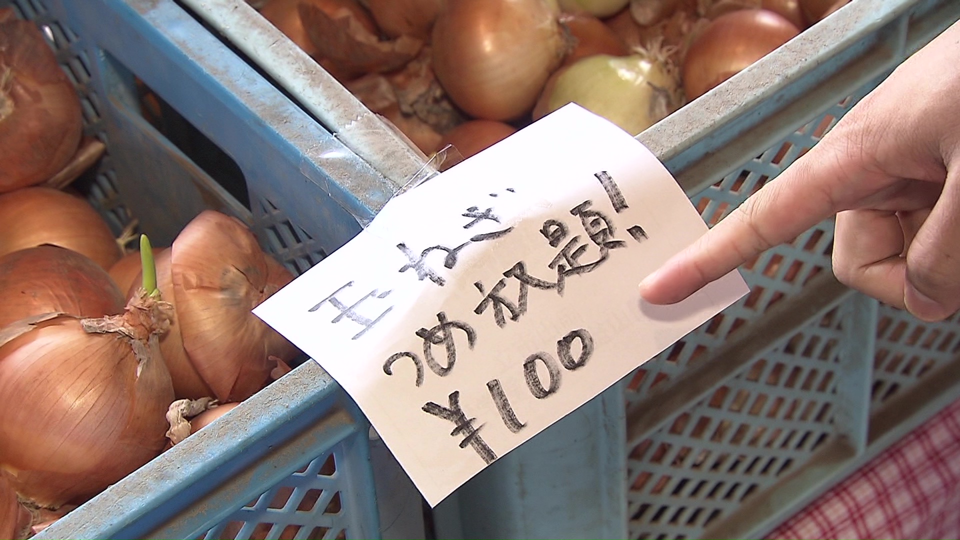 玉ねぎ詰め放題が100円で!