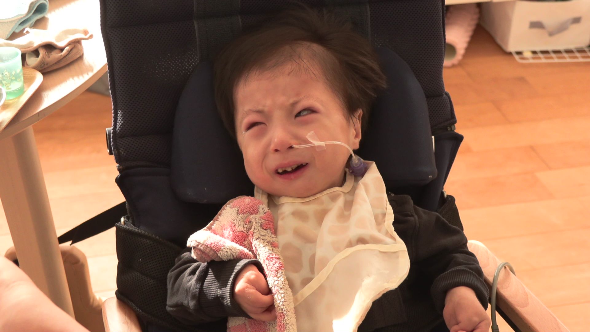 鳴き声で気持ちを伝える大和くん