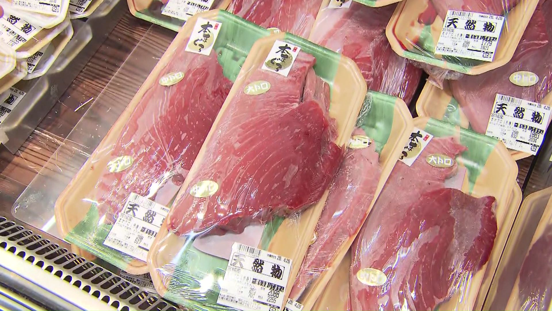 大トロと中トロが一緒になった天然マグロ