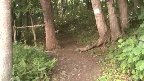 三角山の登山道