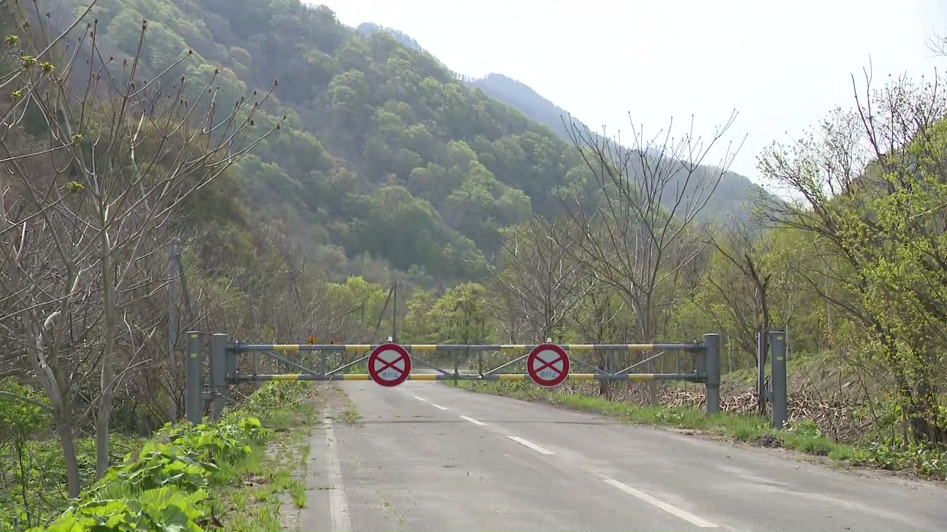 男性ハンターがクマに襲われ負傷