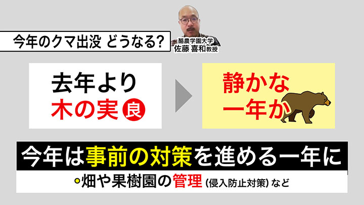 今年のクマ出没はどうなるのか