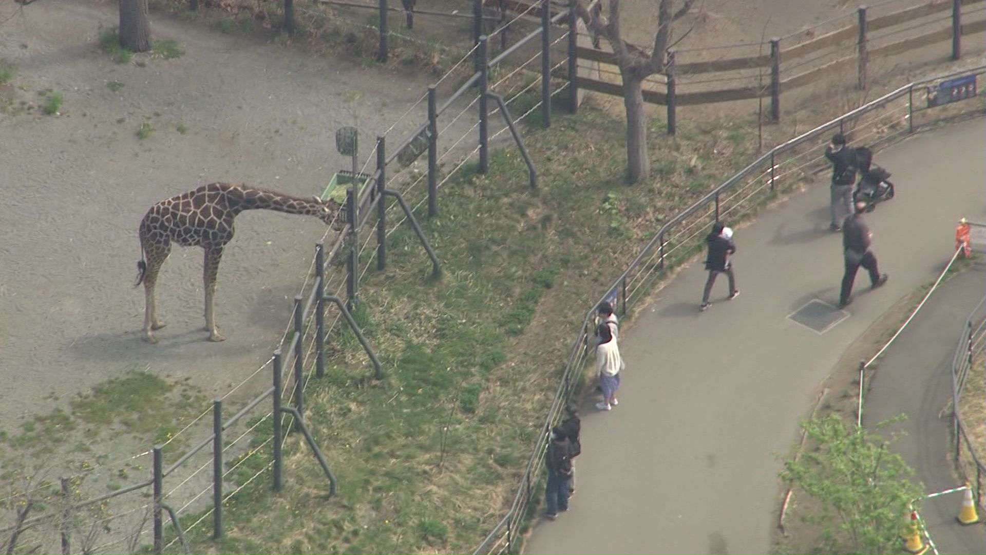 観光客でにぎわう円山動物園