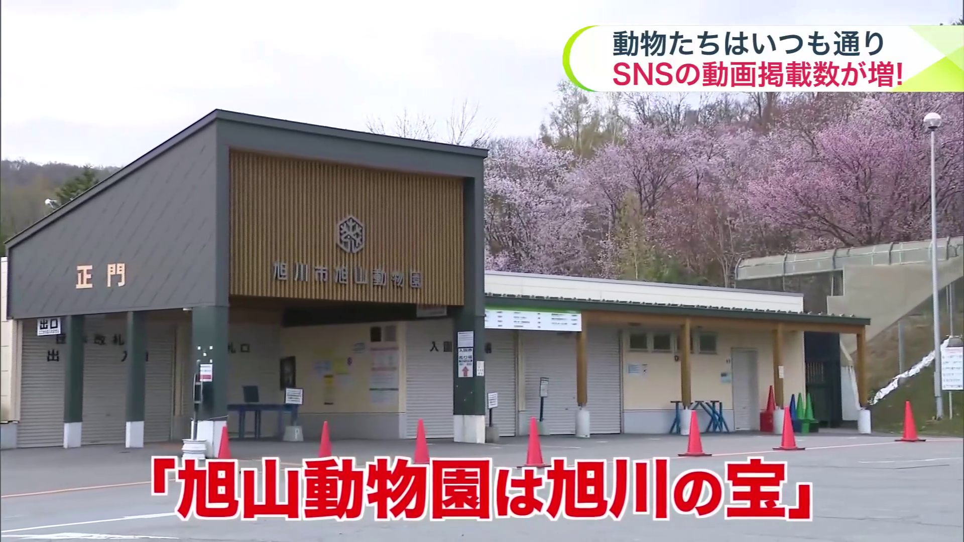 「旭山動物園」は旭川にとって大きな存在