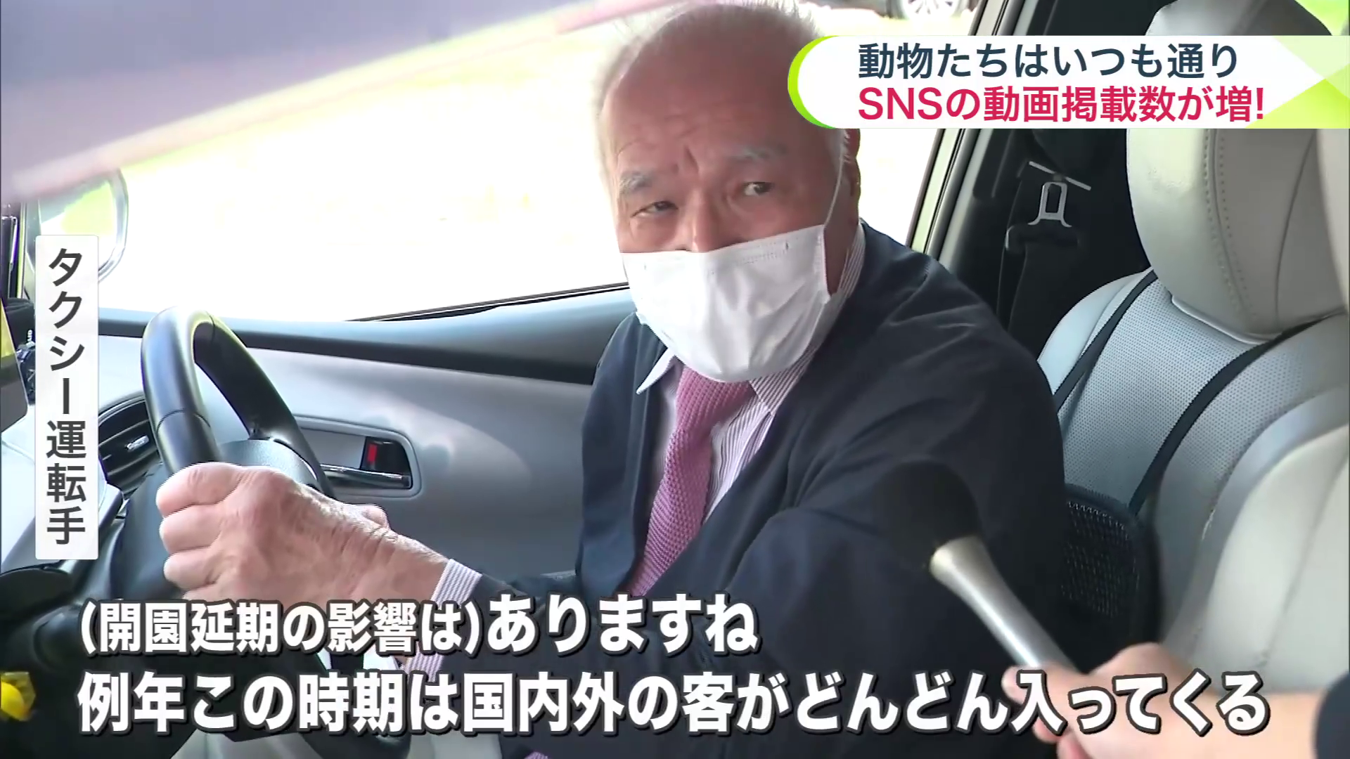 旭山動物園の開園延期はタクシーにも影響