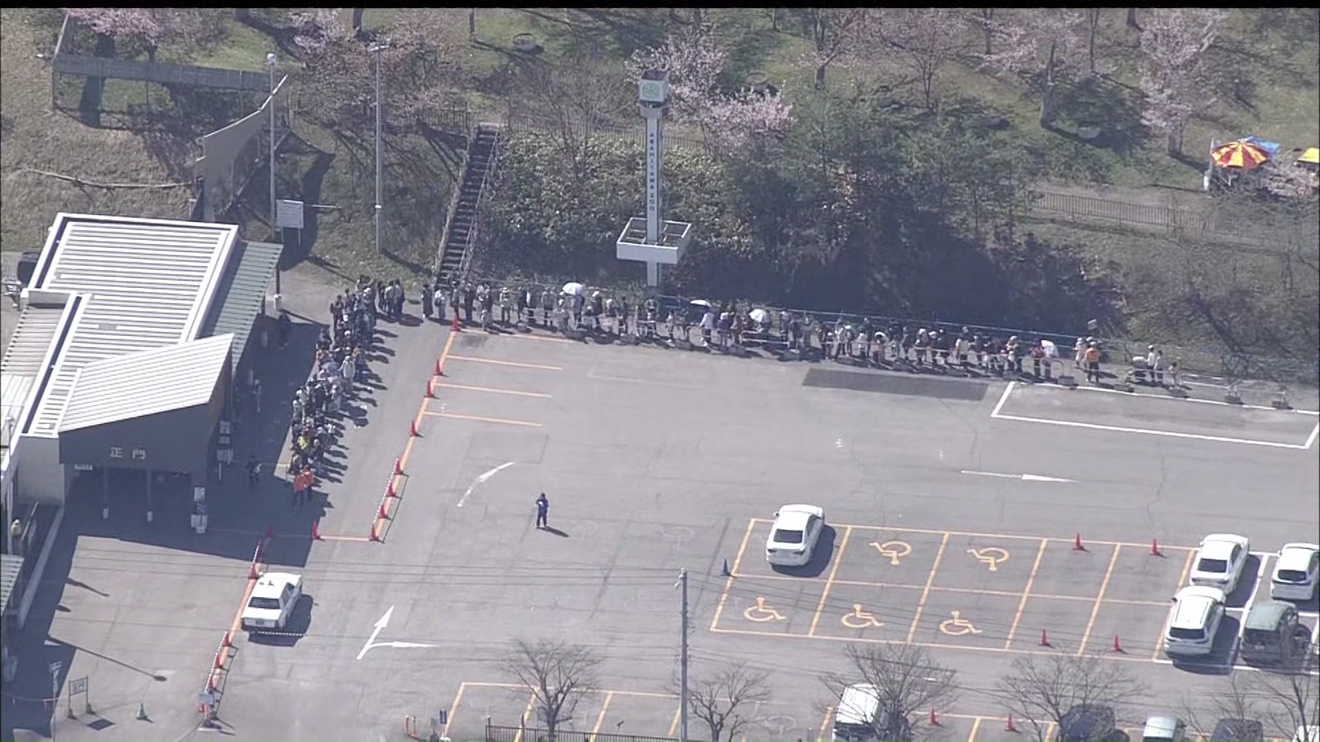 開園前から約200人の列（5月1日）
