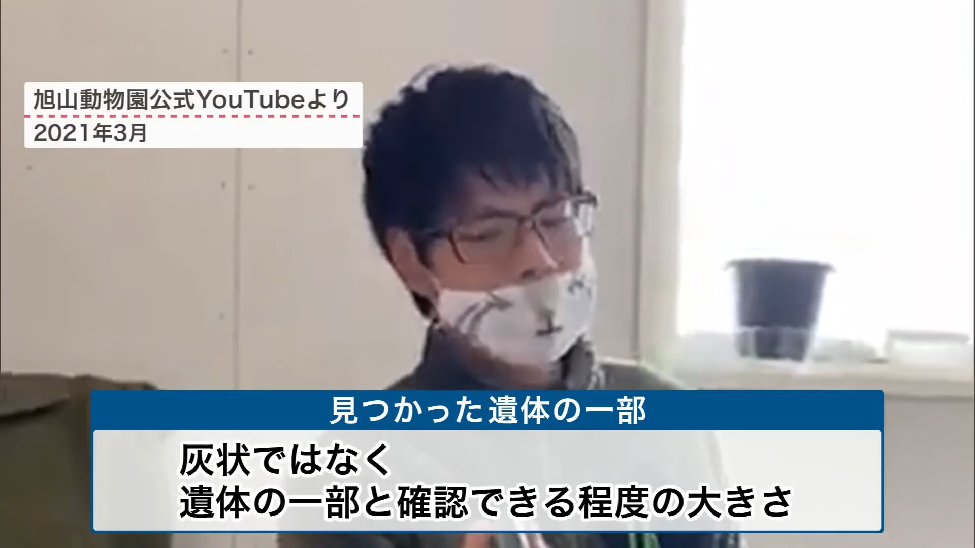 見つかったのは