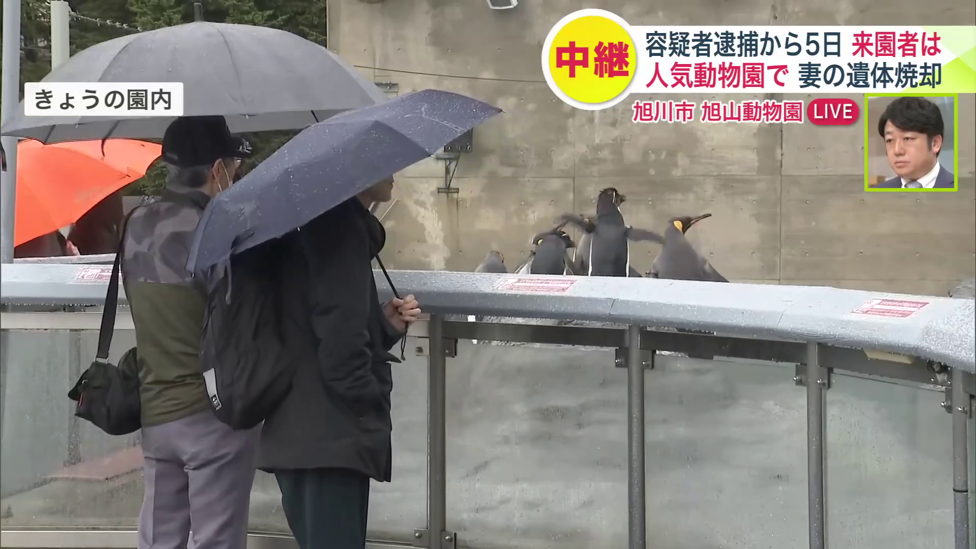きょうの園内の様子