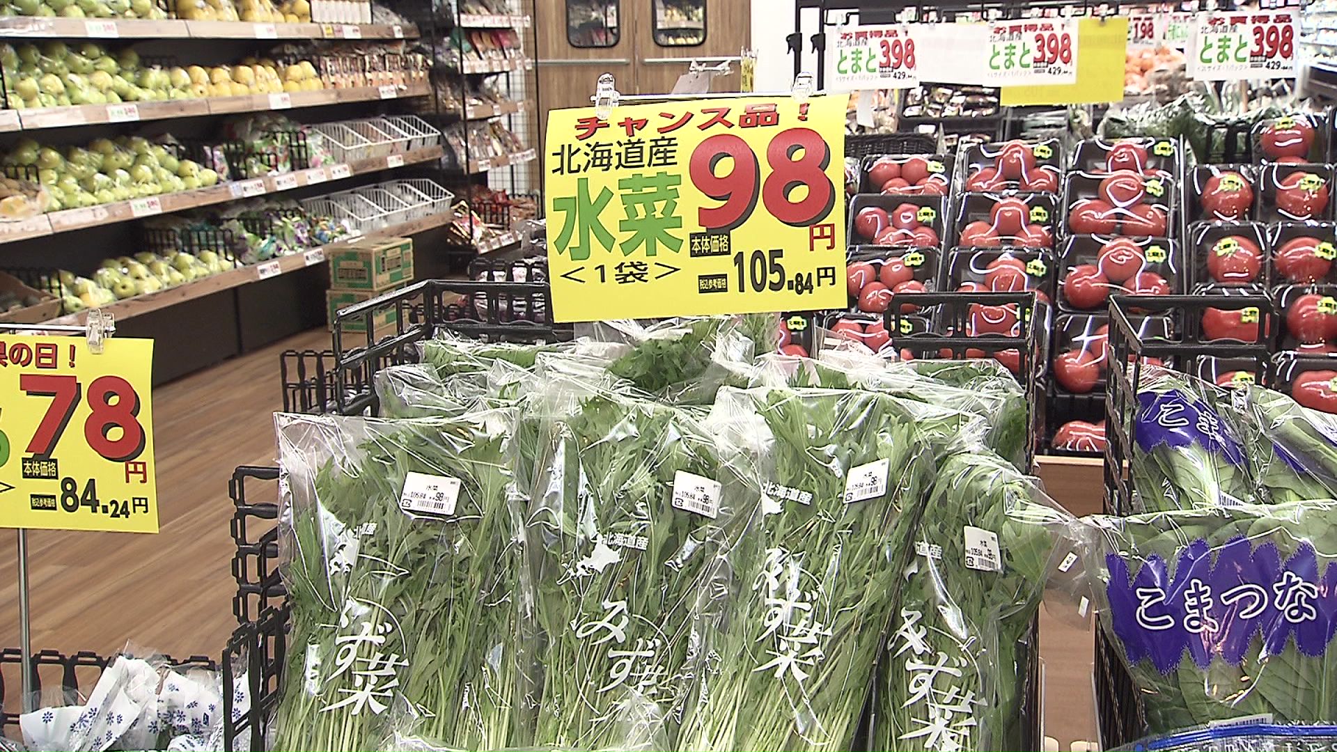 葉物野菜がお買い得
